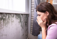 Kako ukrepati, ko napade zidna plesen? Zidna plesen