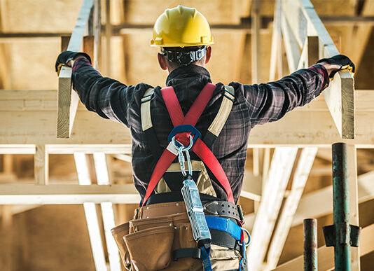 Les kot gradbeni material: 5 prednosti Les - gradbeni material